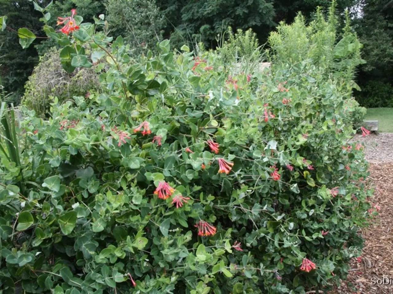 Unmasking the 2024 Horticultural Phenoms: 22 remarkable individuals shaping the future of gardening