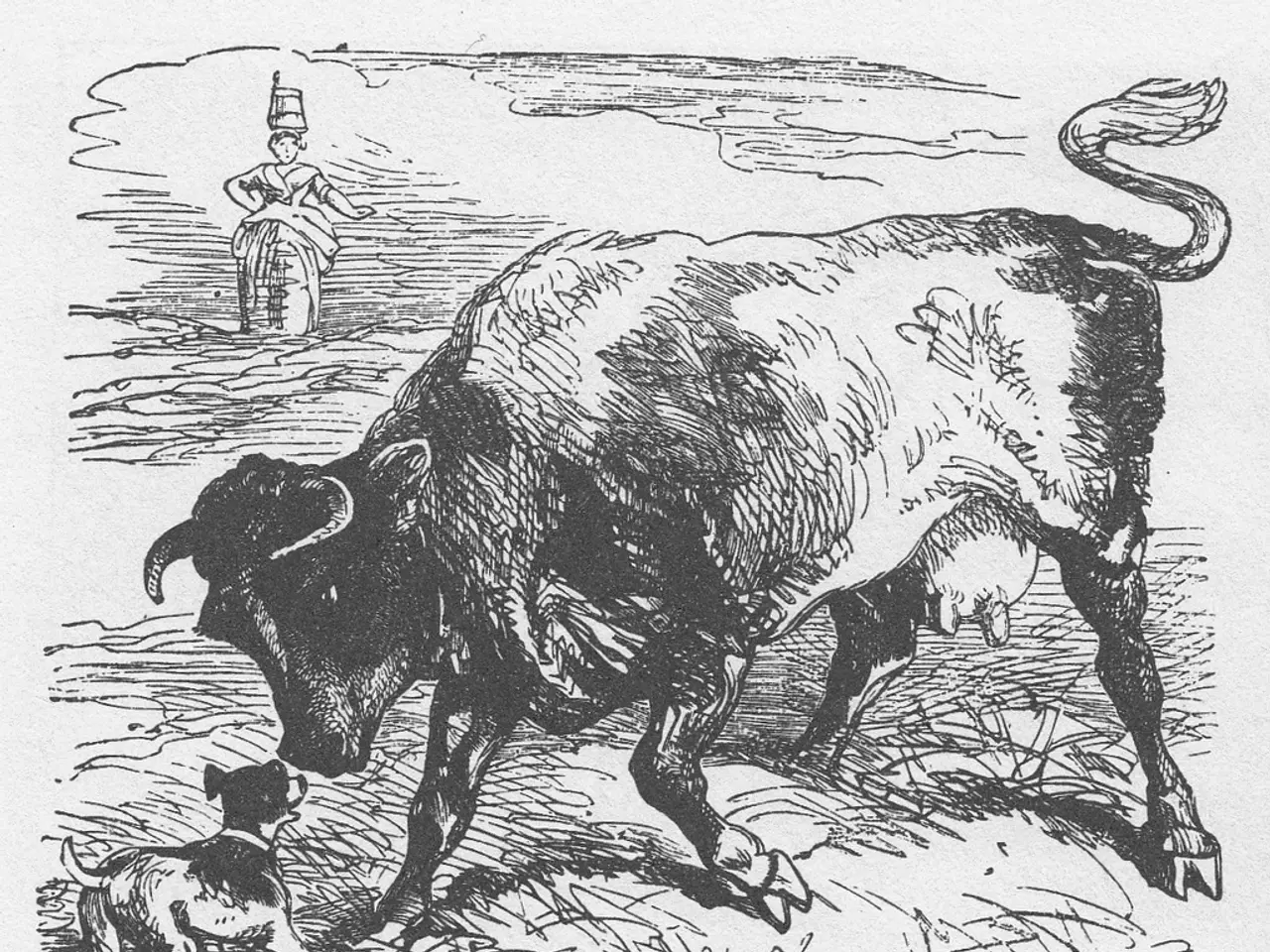 Person admitted to hospital after being reportedly assaulted by aggressive dogs on a Scottish...