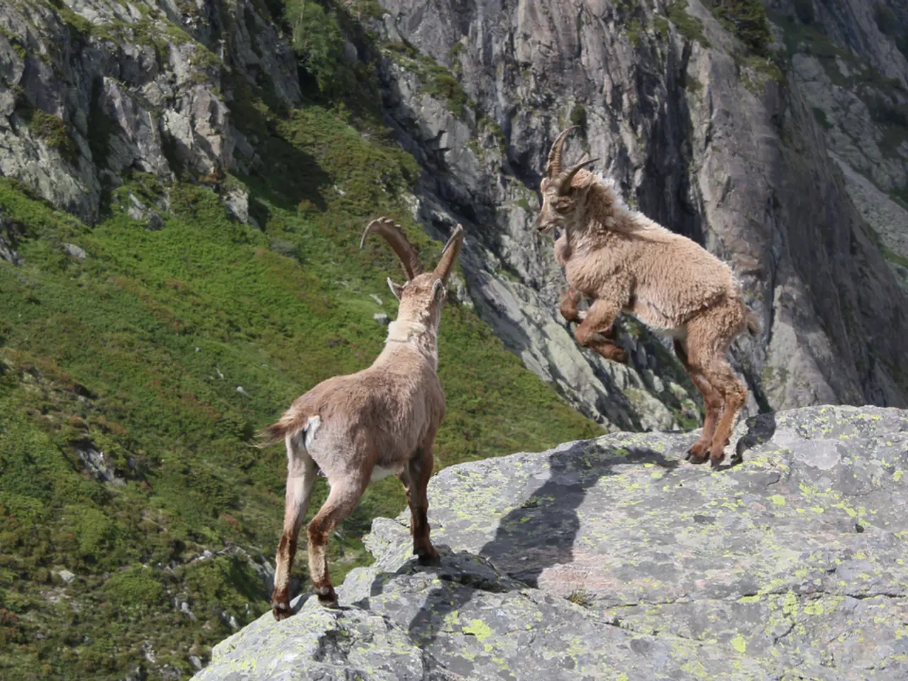 Trail journeys hikers through approximately 300 miles of Rocky Mountain's untouched wilderness in...