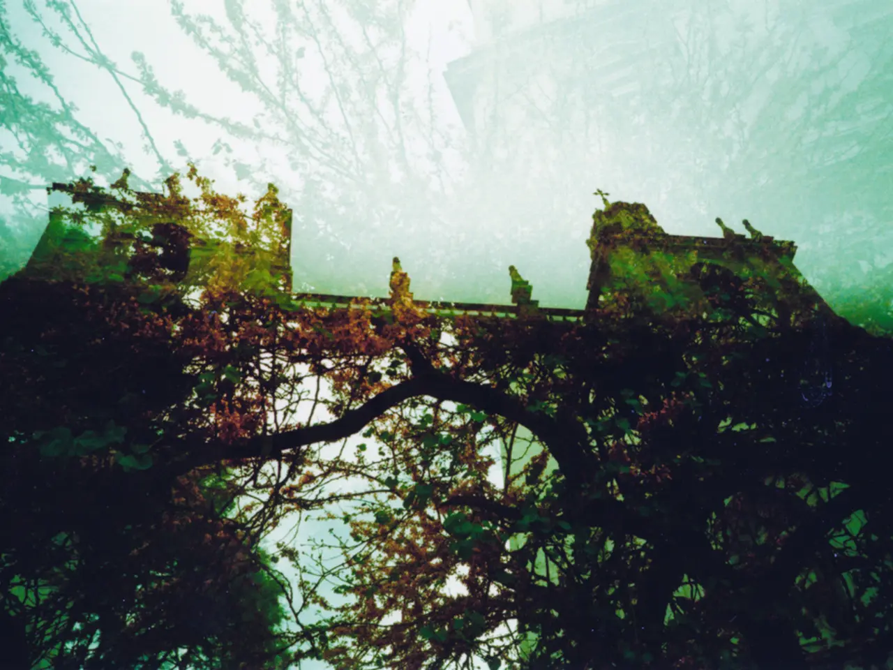 Forest Castle Bridge Suffers Initial Damage