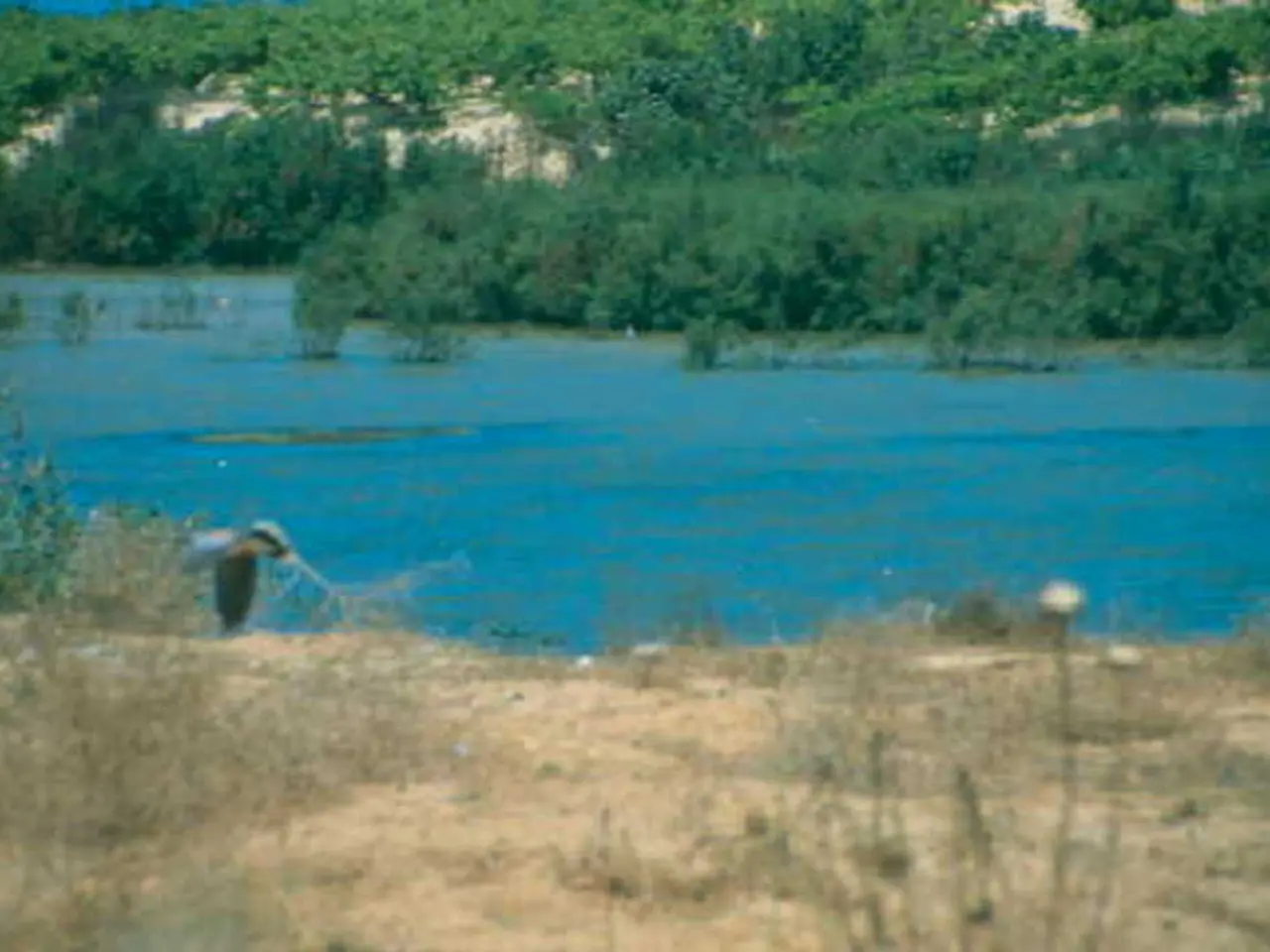 Mastering 7 Practical Survival Techniques in Biology Studies that Enhance Real-Life Skillsets