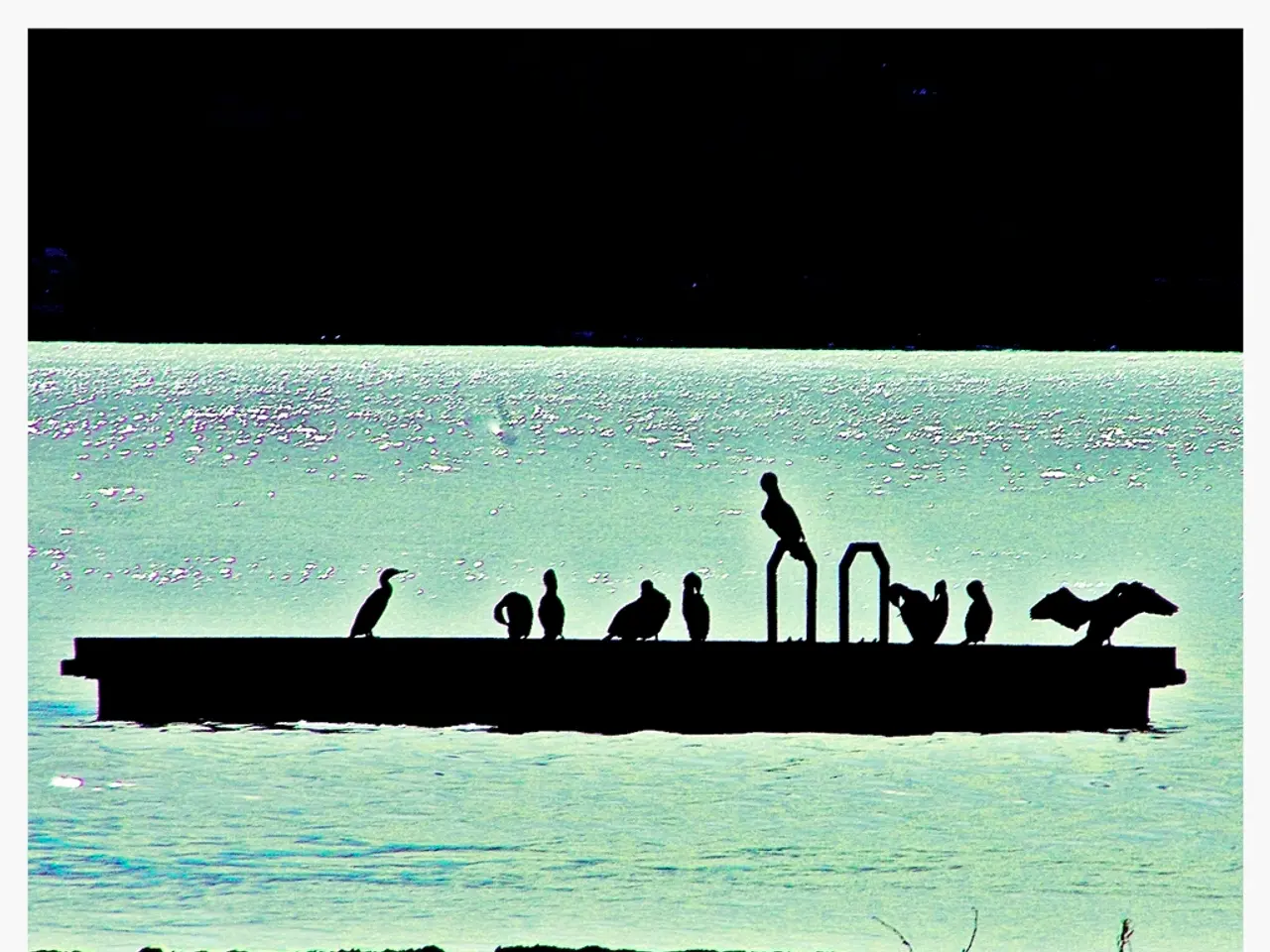 Experience 'The Outer Edge'