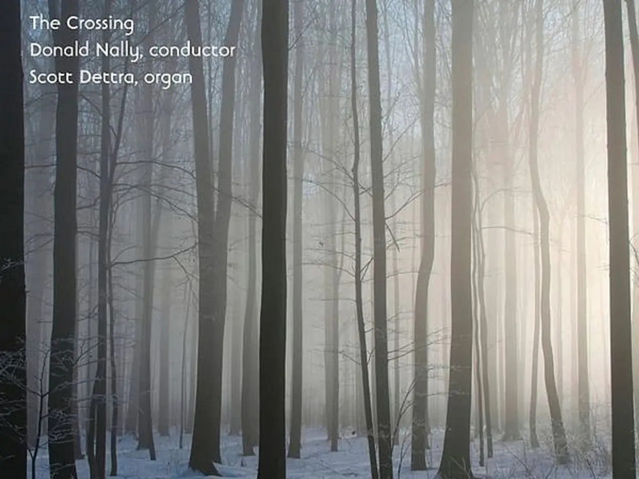 Uncommon tree blooms in the Latvian Botanical Gardens