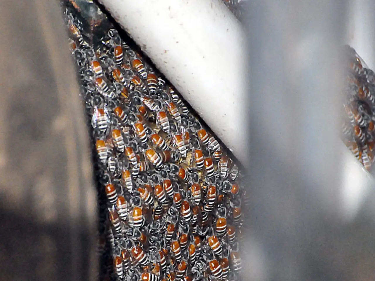 Scientific advancements in the field of nursing