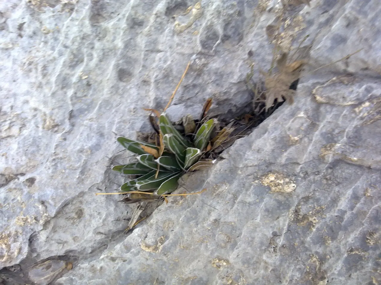 Underground mining trials at Mogalakwena's site set for 2026, as per Valterra's plans