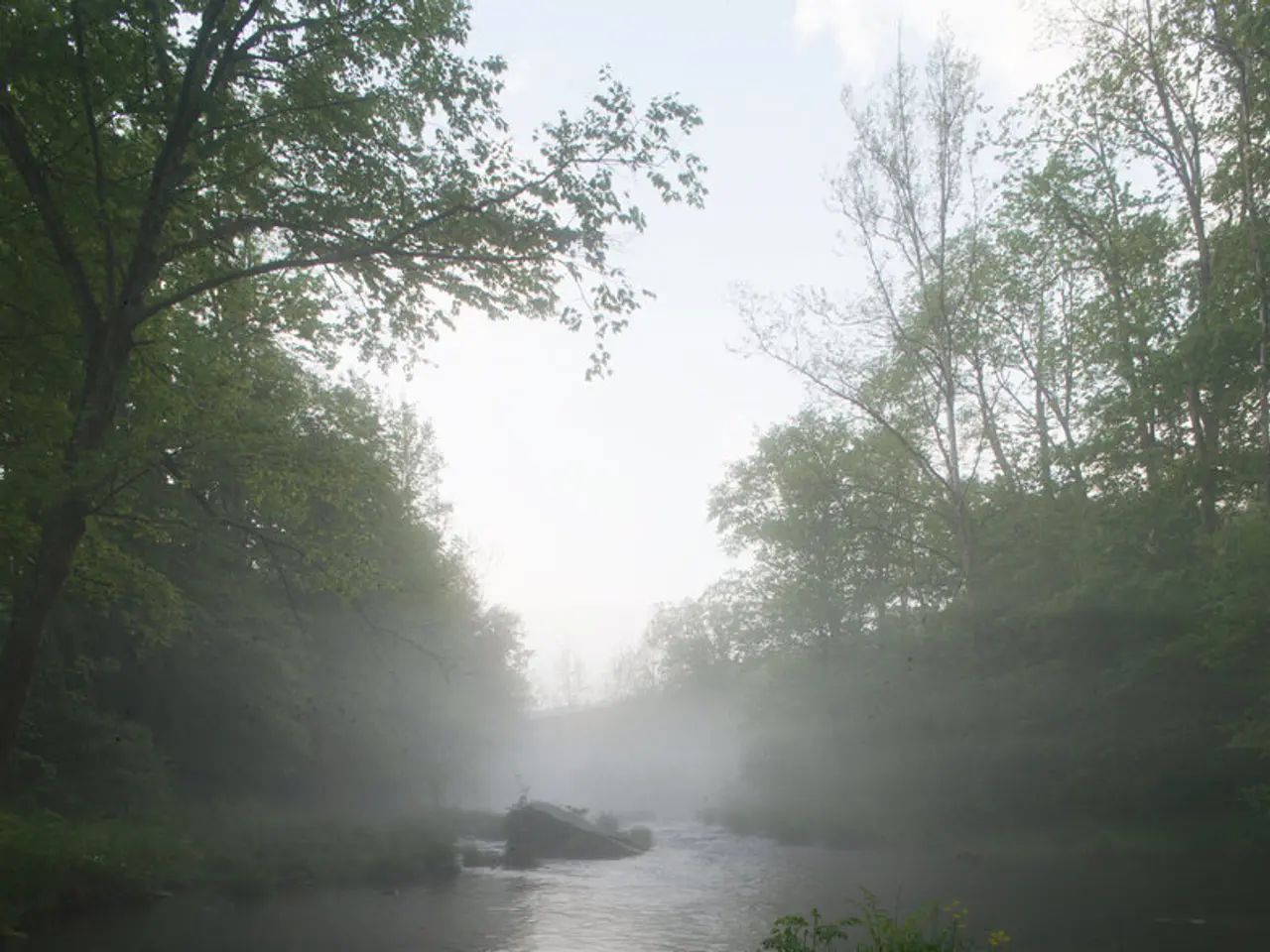 Impacts on Brain and Cognitive Function from Rare Earth Elements in Drinking Water - Unveiling...