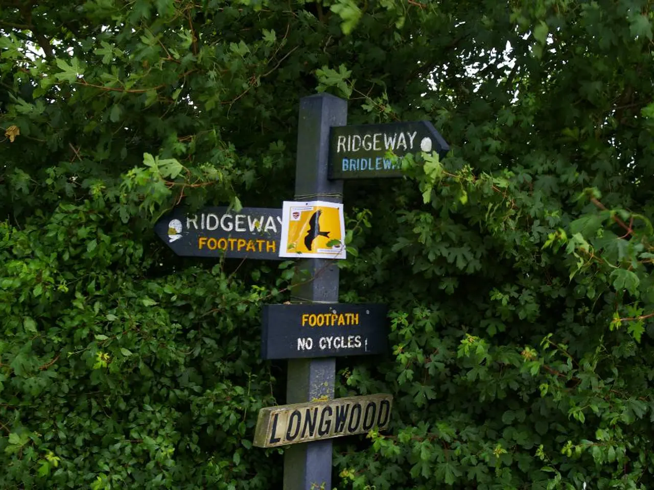 Brain Structure Controls Arousal and Motor Function: An Insight into the Pedunculopontine Nucleus...