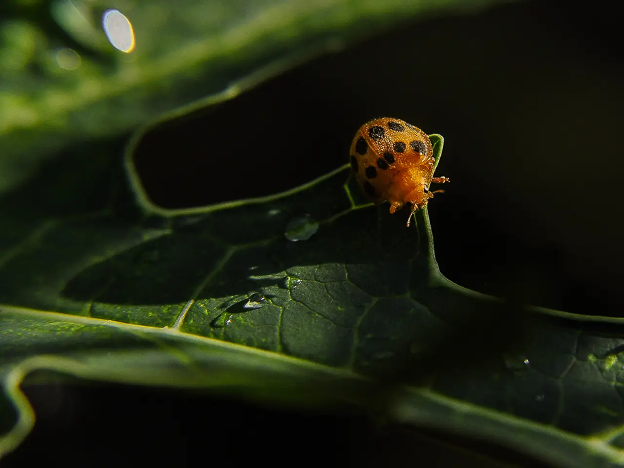 Vulnerability in SAP NetWeaver Unveiled: Hackers Capitalize on Critical Weakness