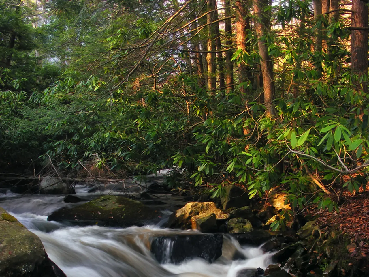 Correspondence on the Peaceful and Authentic Conduct of Local Government Elections - Suspended...