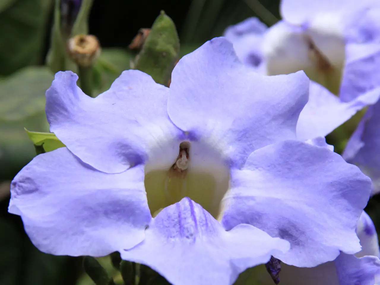 Experienced a week residing with my highest-achieving acquaintances; learn about their daily...