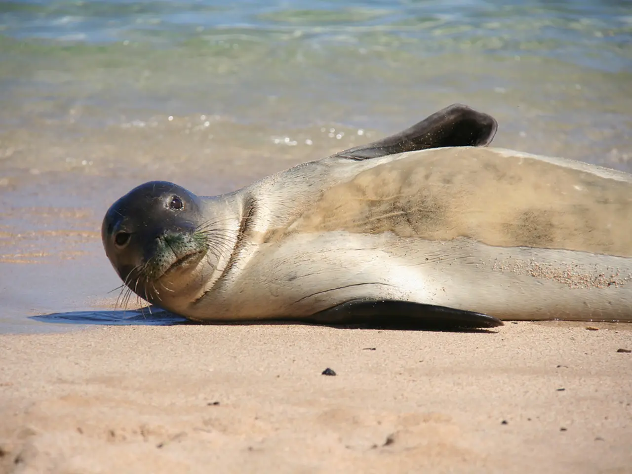 Enjoying a swim during Labour Day weekend might expose you to fecal contamination at beaches along...
