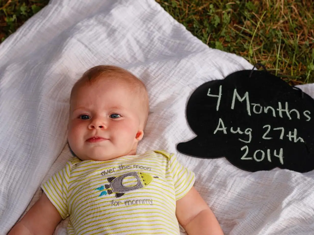 Daily New York Times Crossword Clues, Solutions, and Assistance for August 31, Issue 546