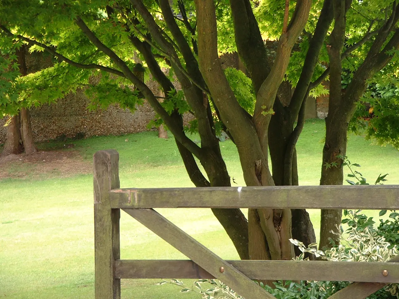 Environmental Regulatory Body - National Green Tribunal (NGT)