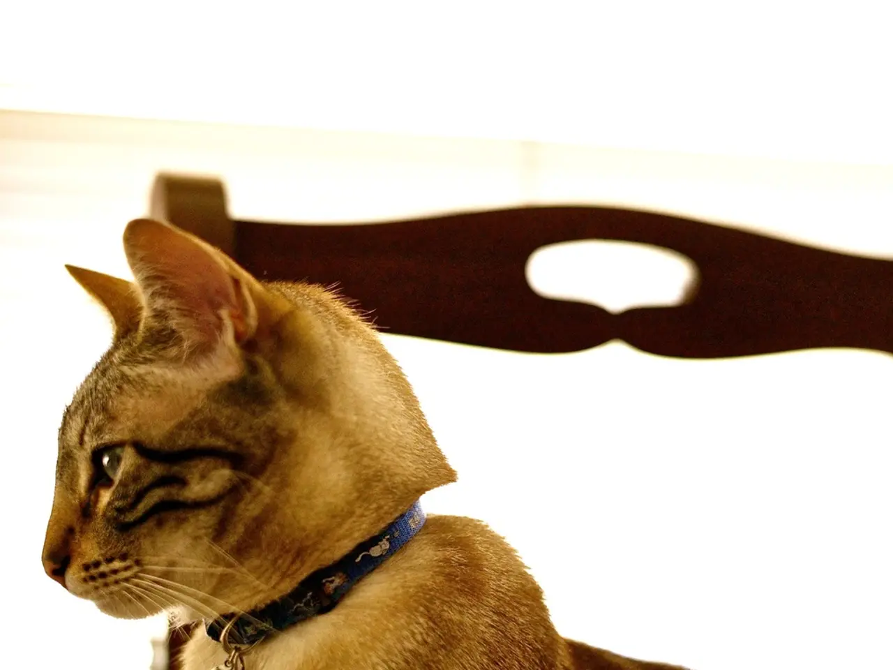 Administrative Dispute Resolution Body (ADRB)