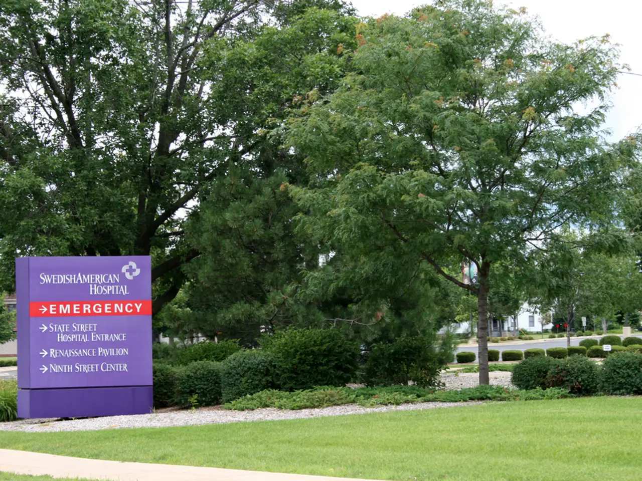 Vehicles Halted Following Road Collision