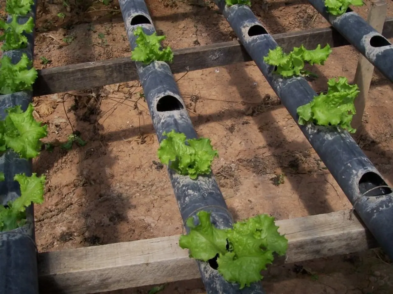 Thirteen Attributable Factors Leading to the Scrapping of Your Writing Submission