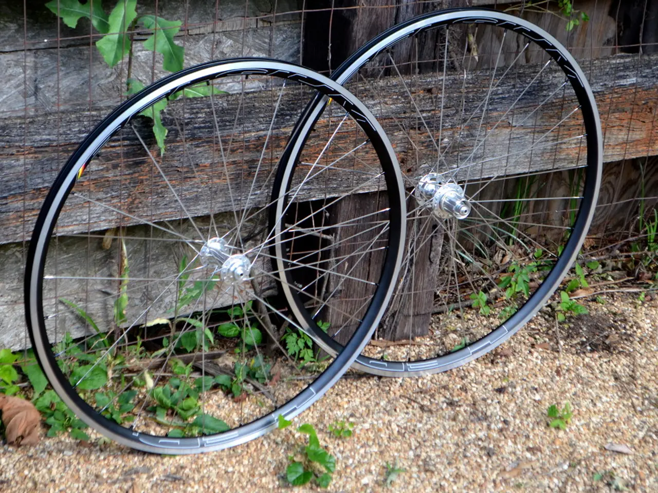 Latest Top-Performing Off-Road Mud Tires for 2023