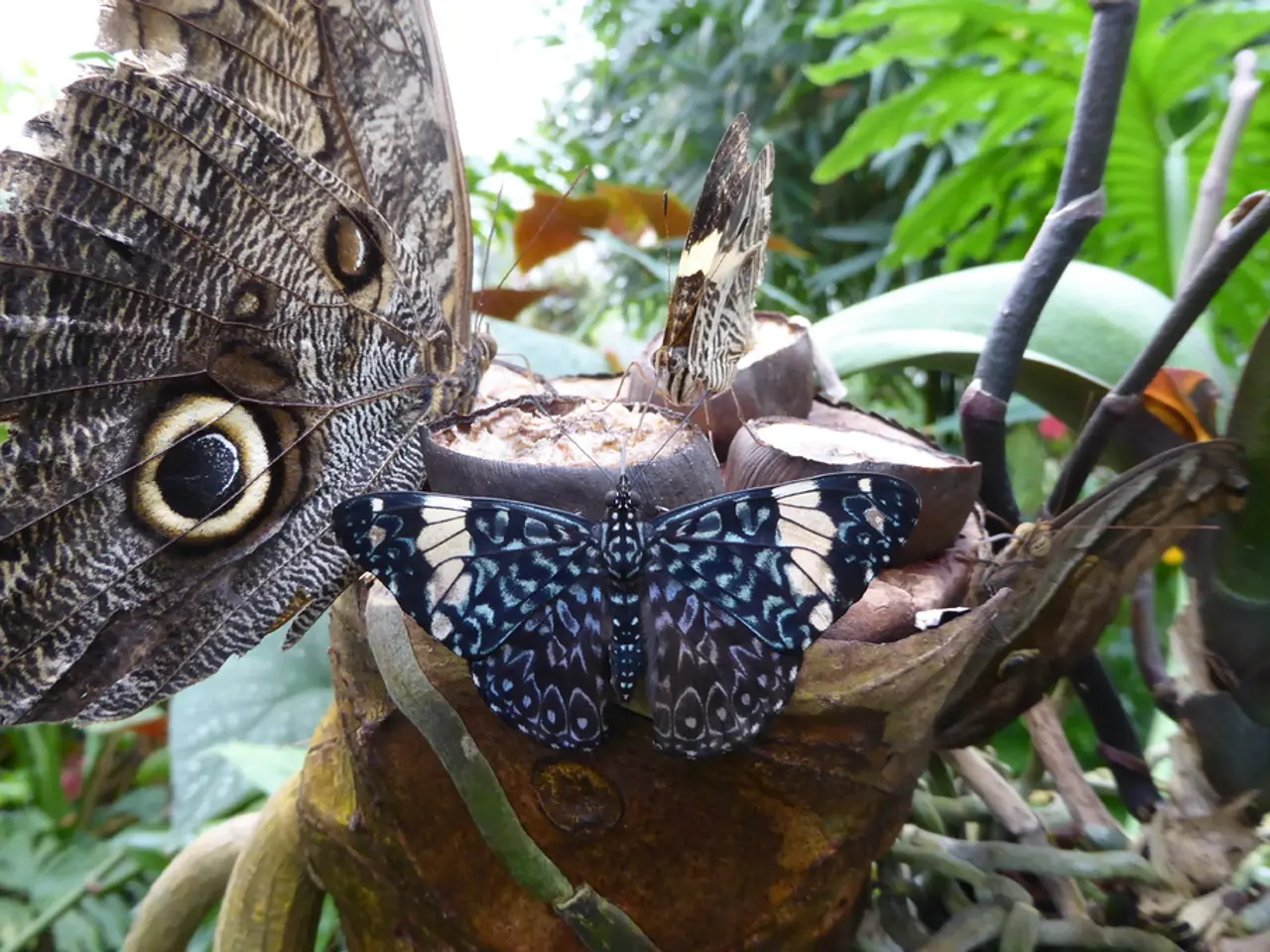 Embrace The Radiance