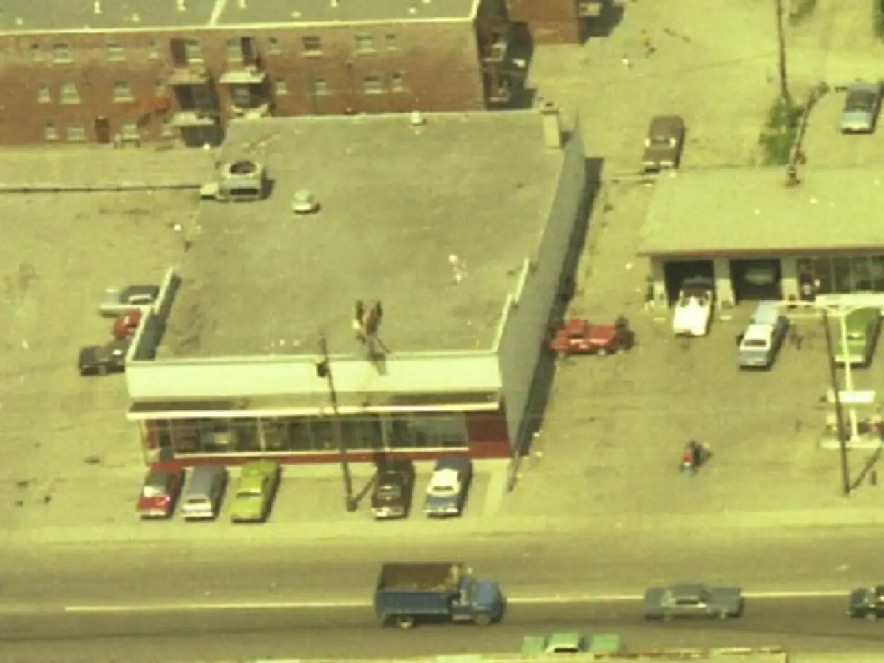 Autonomous driving pioneer Tesla plans to roll out its Full Self-Driving feature in New Zealand.