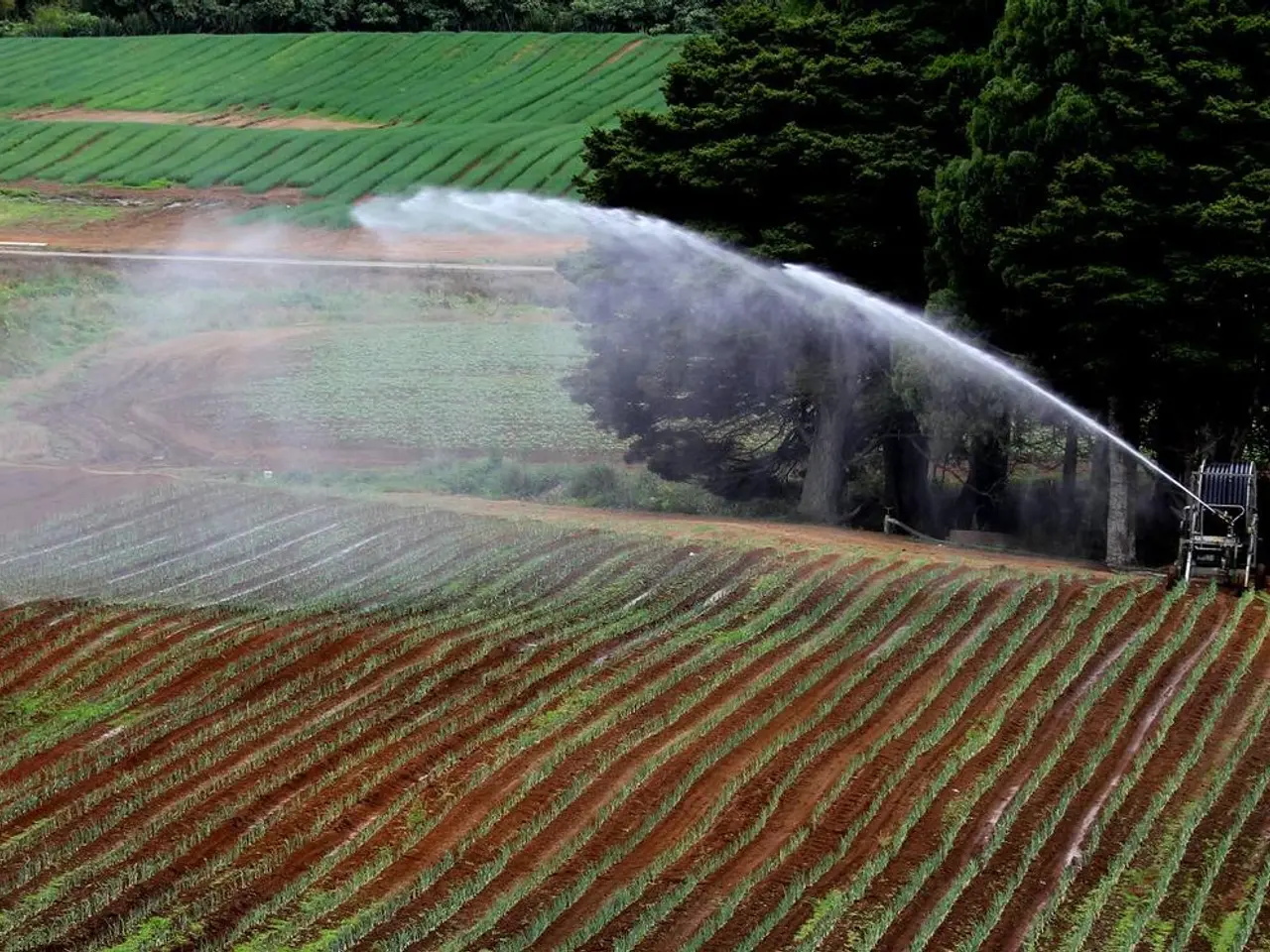 Starmer's rapid push towards zero emissions poses a threat to rural communities in Britain