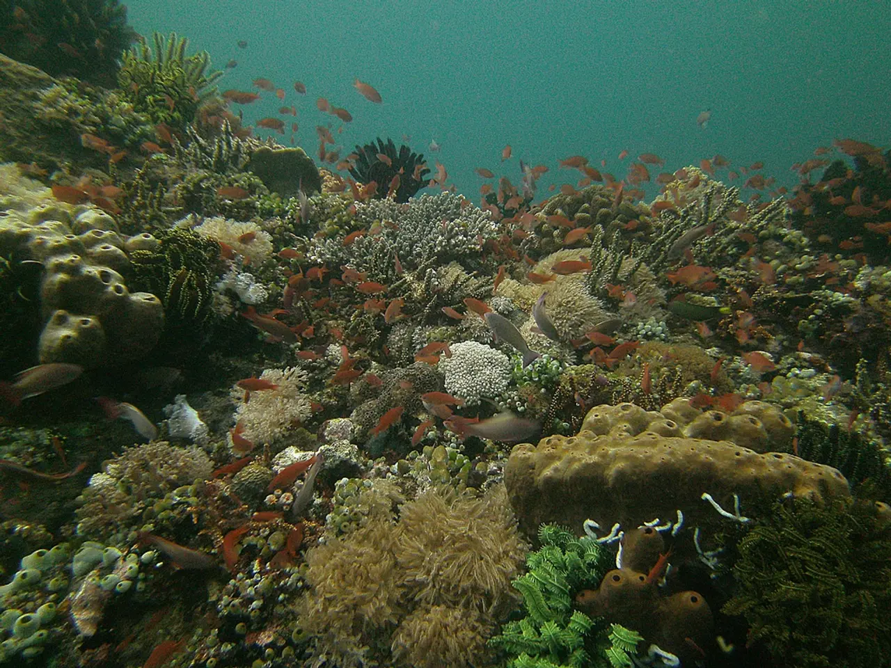Protecting Nature Without Legal Protection is Simply Utopian Thinking