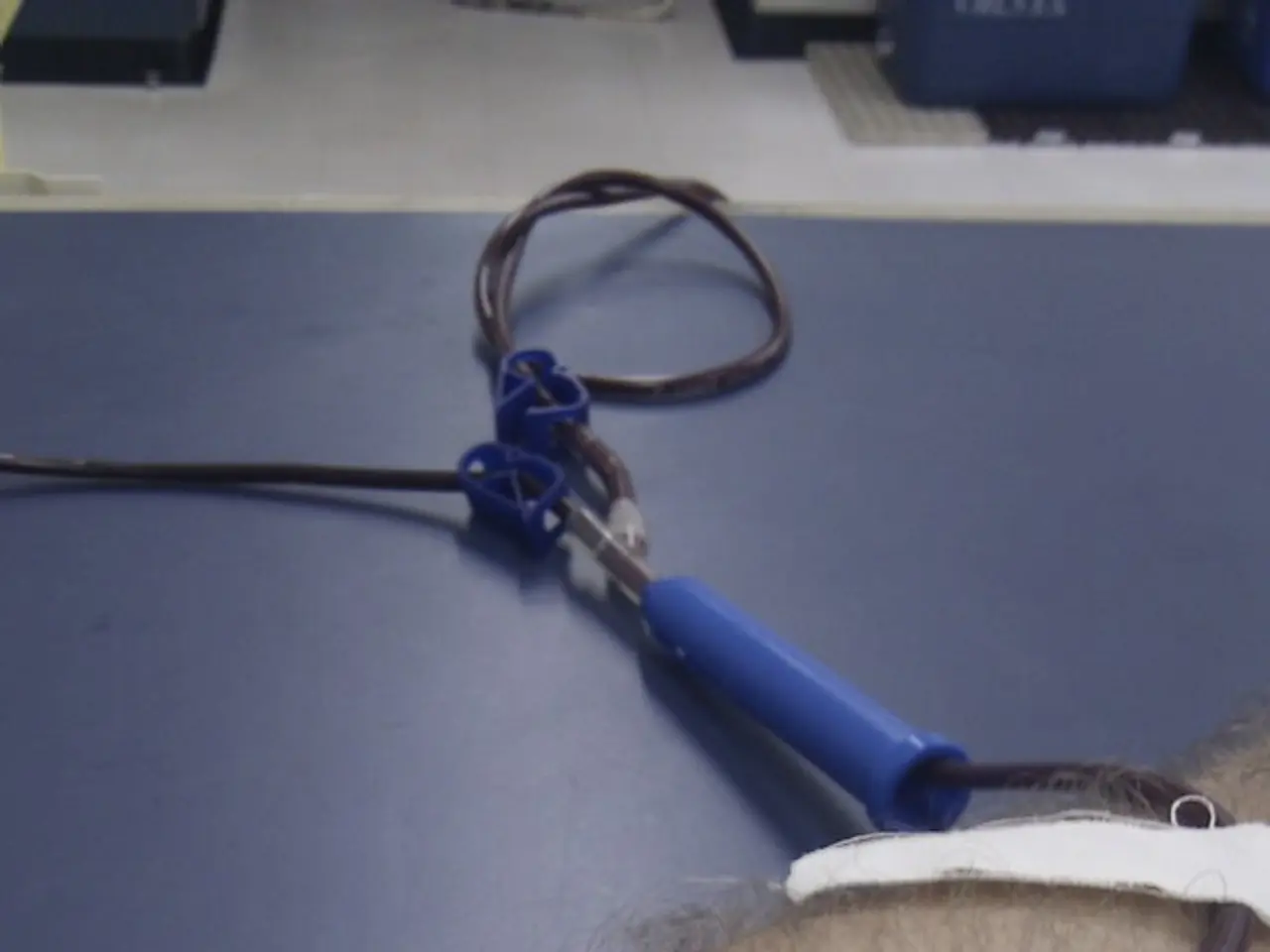 Till Lindemann's Thuringian blood drive shows excitement.