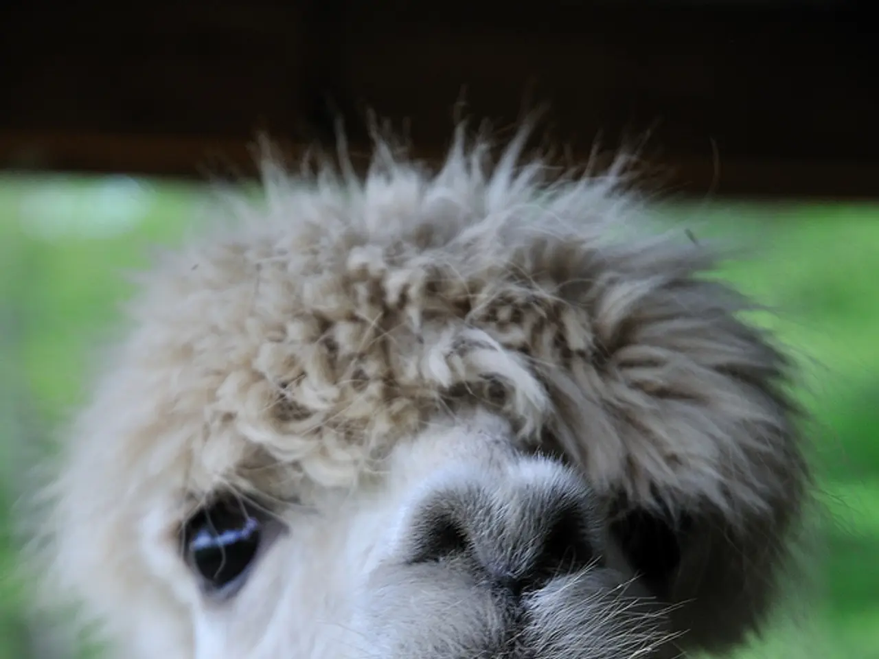 Federal approval granted for Claritas NucMed's PET software application