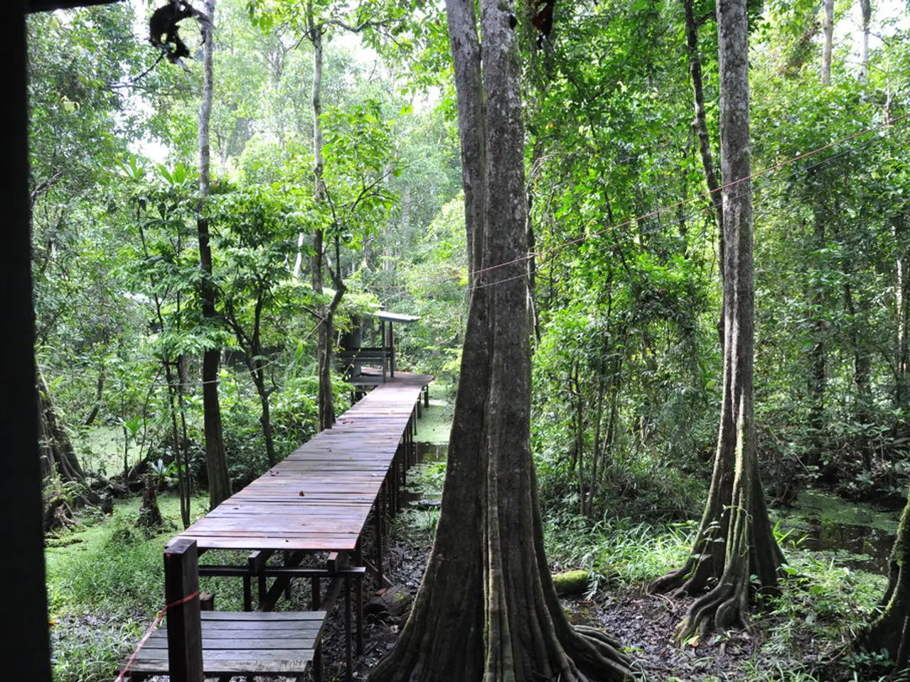 Inspiring Garden Pathway Concepts Using 24 Naturally-Sourced Rock Arrangements