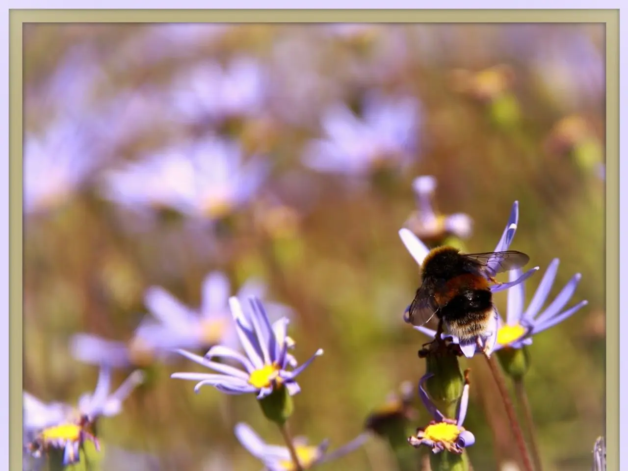 Instagram Login Failure: Unexpected Error Prevents Access; Attempt Another Login Attempt