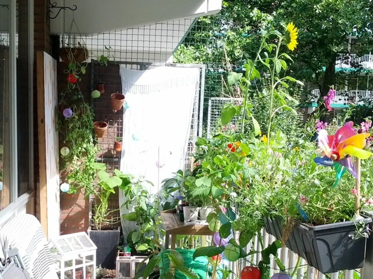 Tale of Transformative Impact: Exploring the Journey of Wild Run Farm