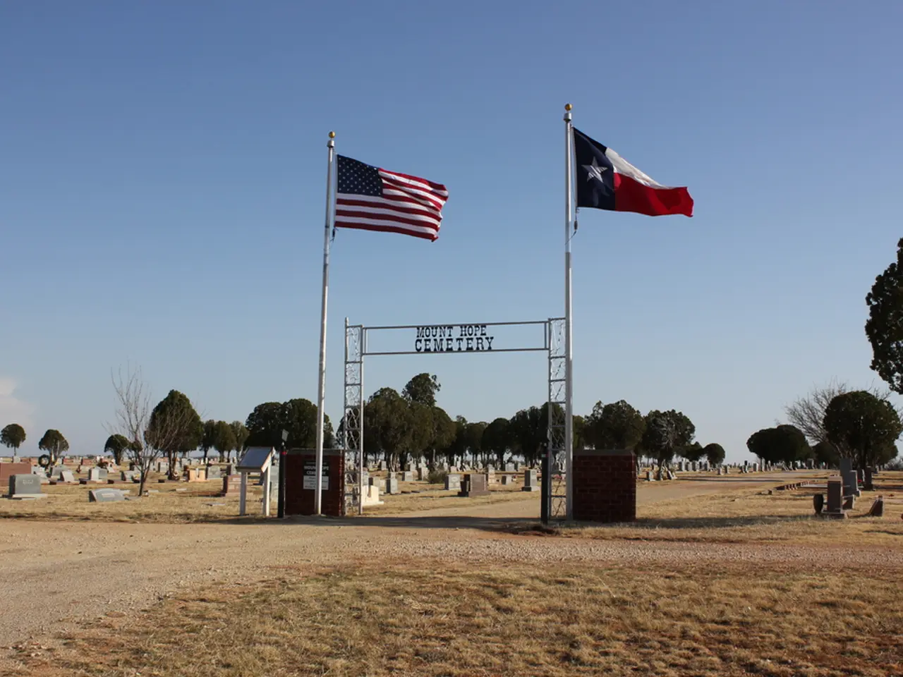Passport Color Symbolism: Blue, Red, Green, and Black Imply Different Significances