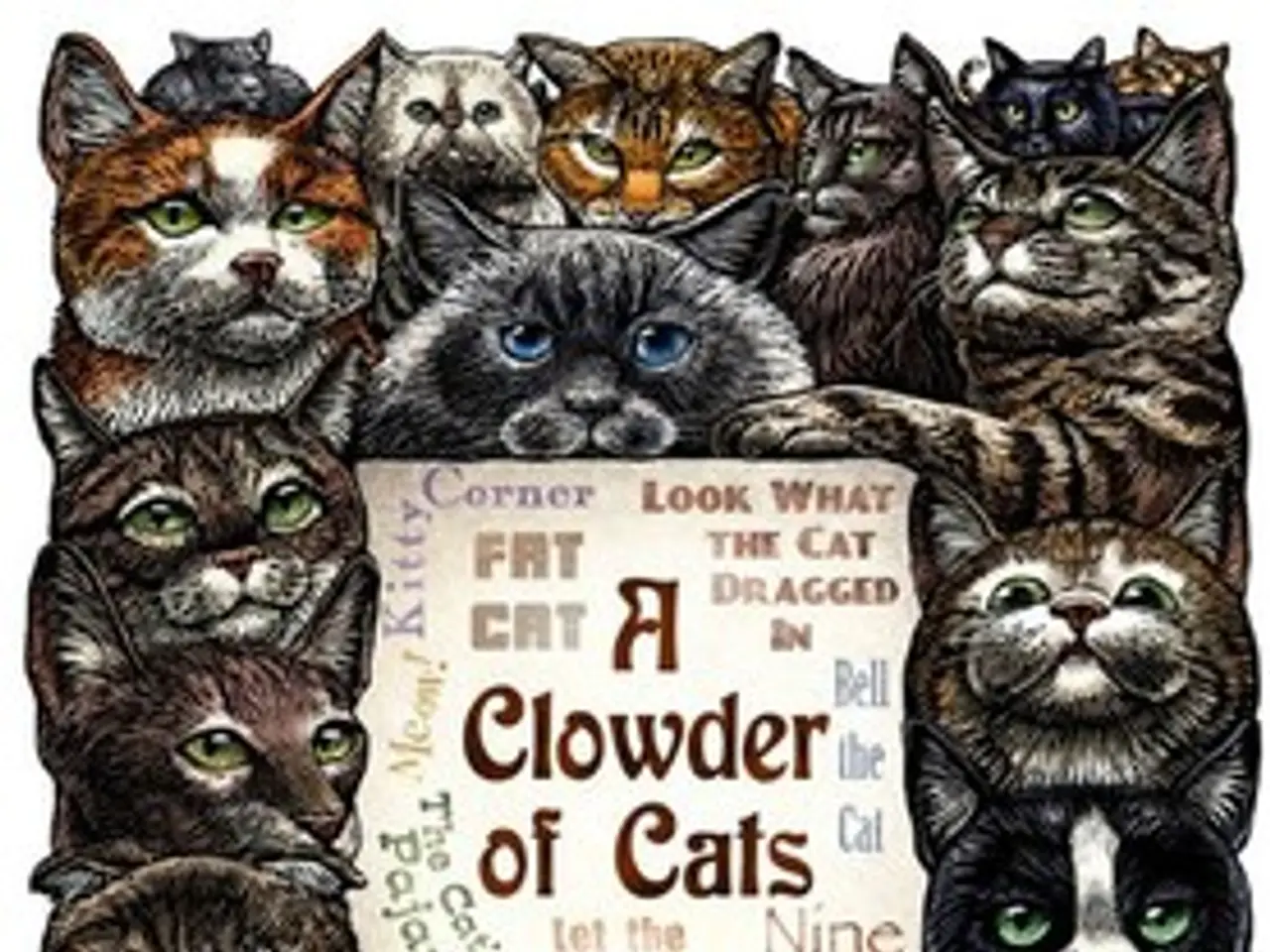 A comprehensive examination of Holoprosencephaly, a neural tube defect that affects brain...