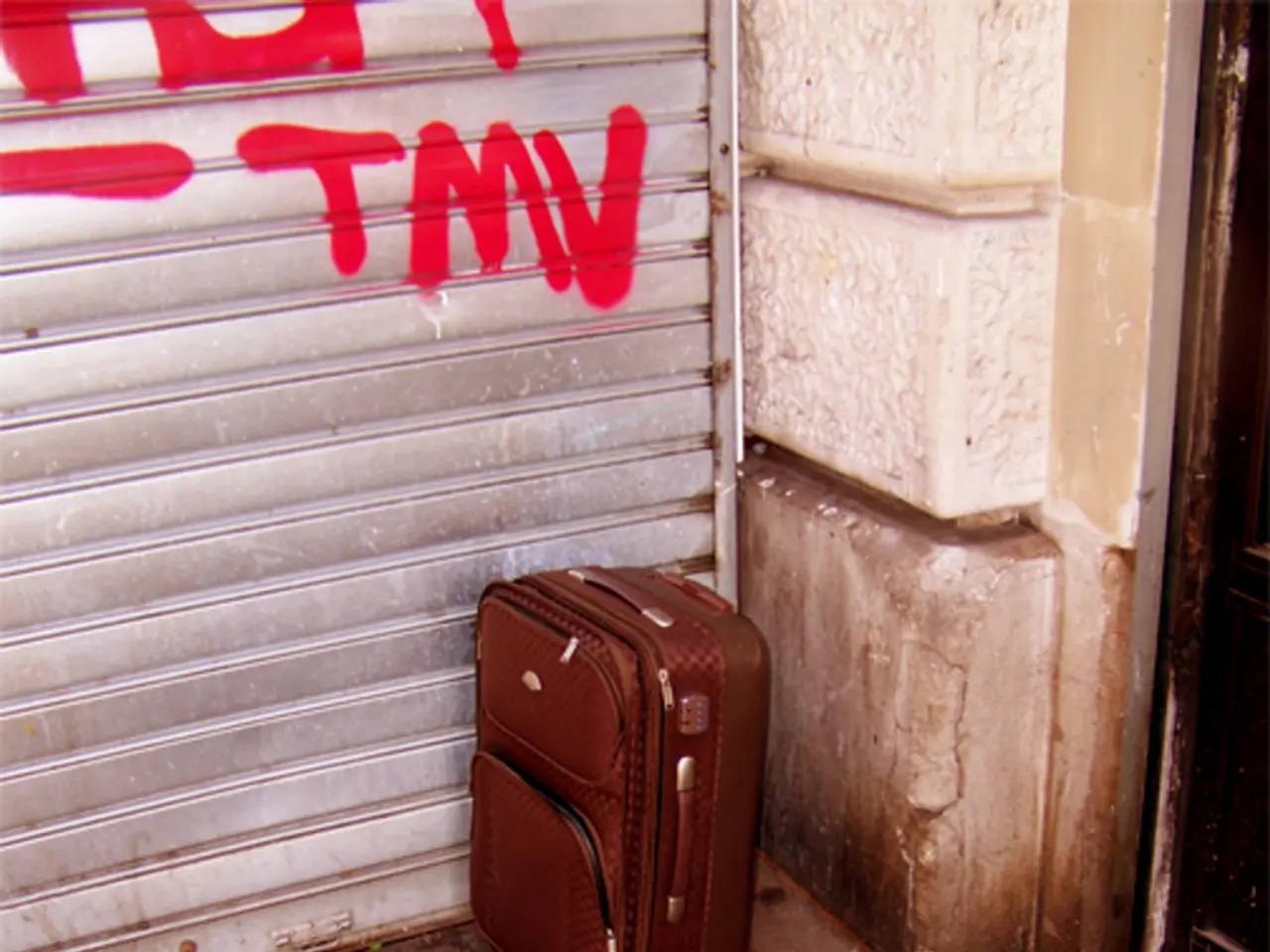 Luggage Industry Expected to Skyrocket, Aiming for a Valuation of USD 81.5 Billion by 2033