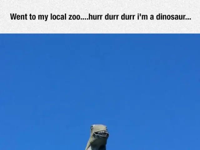 Interpreting the Symbolism of Lottery Dreams