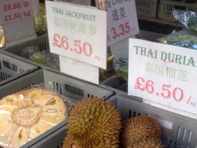 Intense Fruit Delights: A Tasteful Exploration