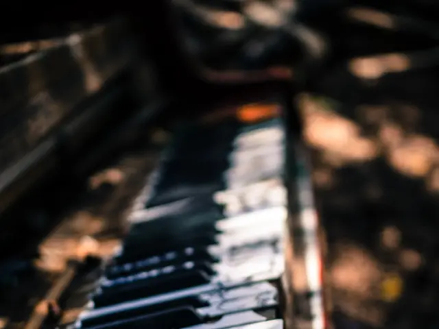 Calming tunes for reestablishing tranquility