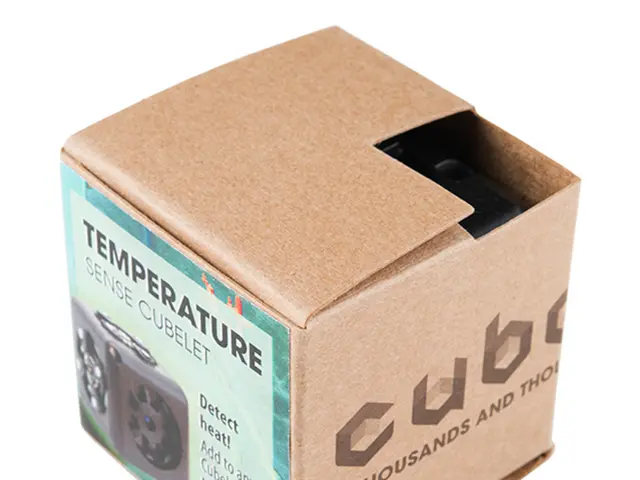 Guide on Making Customs Payments to Royal Mail for International Shipments: Duty Payment Steps