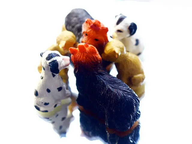 LEgo unveils its inaugural LEGO Super Mario: Mario Kart construction kits