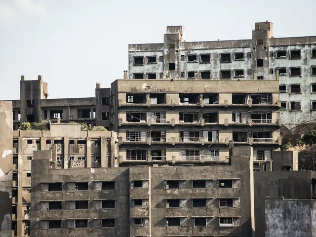 Bonsai under the Sun's Glare: Positioning Bonsai According to Needs