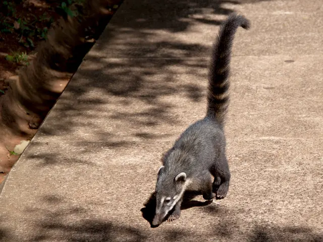 Xermelo's Potential Adverse Reactions and Coping Strategies