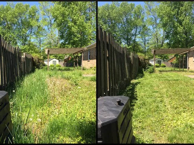 West Coast family infuses Minnesota lake house with California-inspired style and ambiance