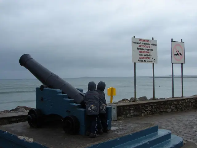 Military parties issue alarms over potential Bundeswehr involvement in Ukraine