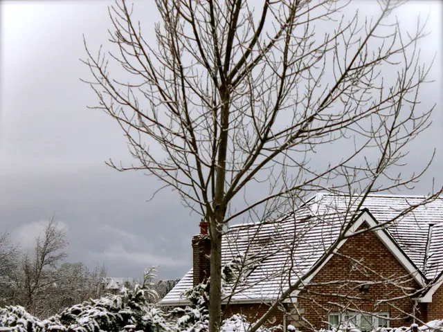 Preparing Your Garden for Winter Defense