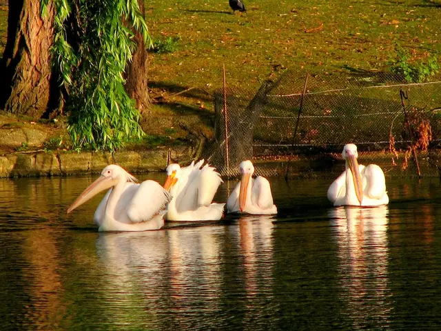 Discourse with the Minister Emphasizes on Joint Efforts for Safeguarding Our Heathlands