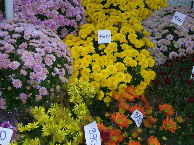 Electricity company compels customers to migrate to newer solar energy pricing plans