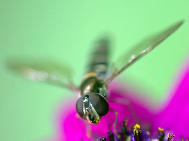 Chronic Skin Itching with Recurring Hives: Origin and Remedies