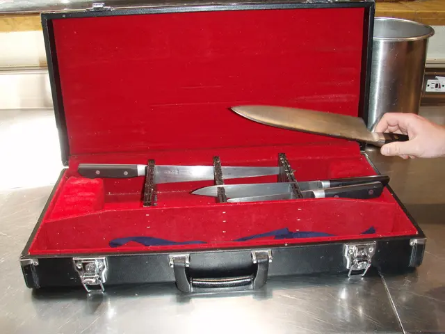 Travelers are utilizing diverse concealed spots to smuggle euros across the Russian border,...