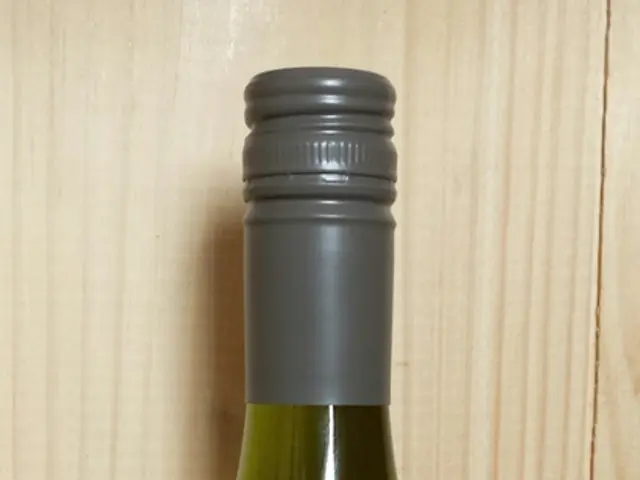 Revolutionized Hydration: Hi Tech Bottle, the Cutting-Edge Gadget Transforming Your H2O Experience