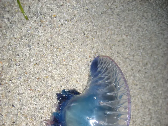 United States Capital District takes third place in country for bug invasions, repetitively