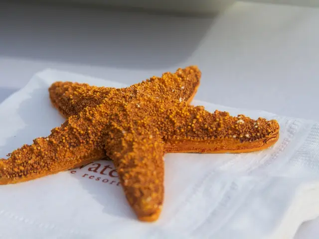 The mesentery's identity and role explained